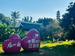 -江心屿景区