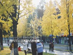 -四川大学(望江校区)