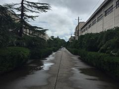 -桥西拉面