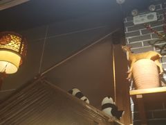 -廉恭蜀老成都火锅(善国大桥店)