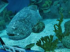 -福州罗源湾海洋世界旅游区