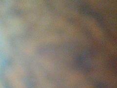 -栗满秋(燕丰西坝河店)