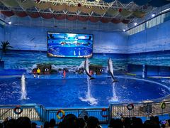 -多彩贵州城极地海洋世界