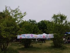 -诗经里