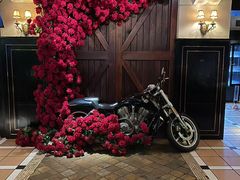 -碧特博格啤酒花园餐厅(芜湖路店)