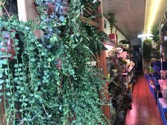 -溪岸路花鸟市场