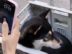 -佛山京华广场MALL