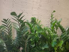 -荷花亭·湖北融合菜(中商广场店)