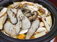 -菌之家·专业纯野生菌火锅·特色炒菌