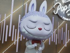 -泡泡玛特POPMART(合生汇店)