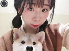 -逗柴咖啡屋·狗咖猫咖宠物桌游