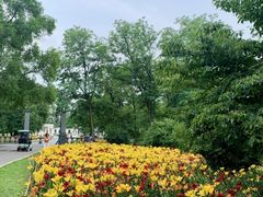 -沈阳植物园