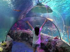 -沈阳海洋探索中心