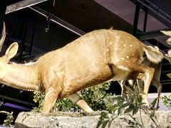 -陕西自然博物馆