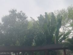 -碧水湾温泉