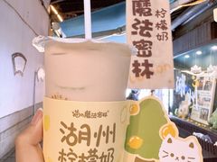 -猫的魔法密林(衣裳街店)