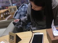 -藏猫猫咖啡主题馆(中央大道店)