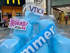 -VT101维多利广场