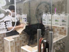 -汪小喵宠物·戴维斯乐芳希施宠馨宝皮毛调理洗护店