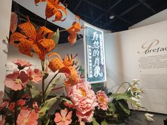 -四川大学博物馆