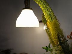 -concerto协奏曲咖啡店