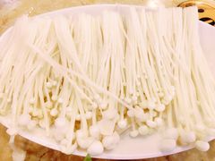 金针菇-活鱼馆(宜兴埠店)