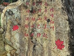 -广州市帽峰山景区