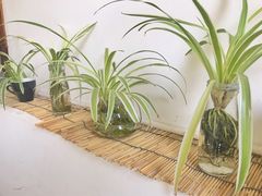 -唐咖精品咖啡(大理古城手冲店)