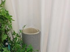 -拍刻风照相馆(紫荆广场店)