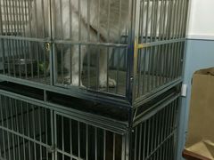 -中农大我爱我爱24h动物医院·中医针灸·猫专科·骨科医疗中心(双井店)