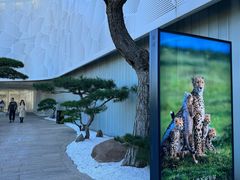 -罗红摄影艺术馆