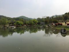 -镇江市南山风景名胜区竹林景区