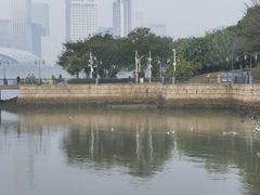 -深圳湾公园(南山区)