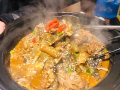 甲鱼-鳖皇甲鱼餐厅(平阳路店)