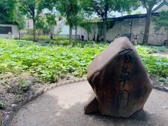 -绍兴鲁迅故里·沈园景区