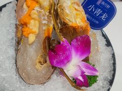 -海月轩海鲜豆捞(紫金塔店)