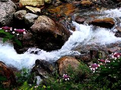-西岭雪山大飞水景区