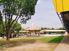 -上海海湾国家森林公园