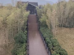 -大唐贡茶院
