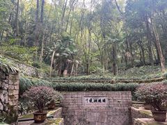 -瑶琳仙境