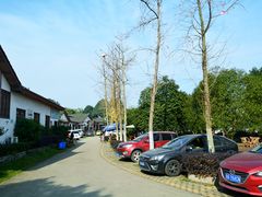 -白鹭湾湿地公园