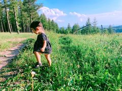 -塞罕坝国家级自然保护区