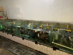 水产区-天发长铁锅炖(王秀村店)