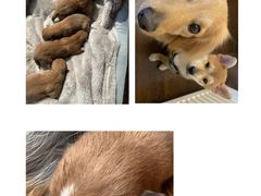 -SFC上影百联影城(川沙IMAX店)