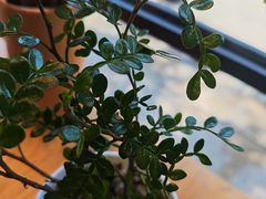 -金谷园饺子·烧烤(人大总店)