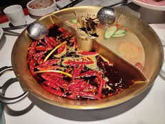 -小龙翻大江文化火锅(宽窄店)
