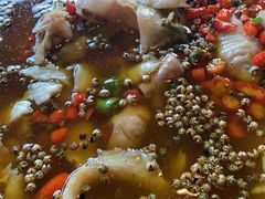 青花椒酸菜鱼-麻小度青花椒鱼(安德总店)