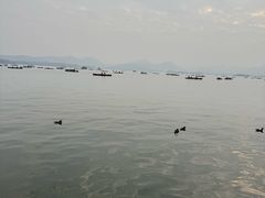 -西湖天地