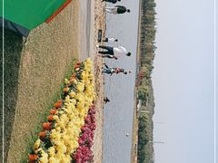 -上海月湖雕塑公园