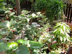 -正宗天津烧麦馆(柳州路店)